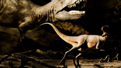 Dinosaur please Size can lunch walls has any