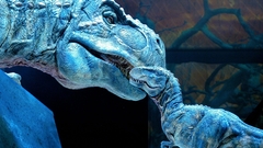 Dinosaur Wild Animals