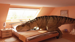 Dinosaurs bedroom Tyrannosaurus Rex