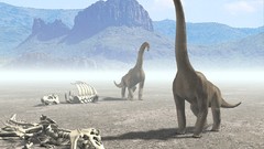 Dinosaurs deserts skeletons fossil