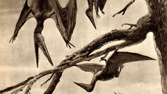 Dinosaurs pterodactyls Zdenek Burian