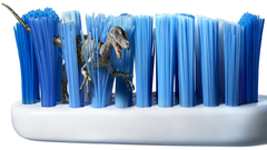 Dinosaurs toothbrush