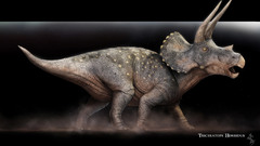 Dinosaurs triceratops