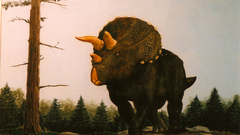 Dinosaurs triceratops
