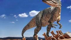 Dinosaurs Tyrannosaurus Rex