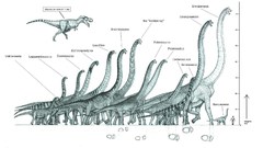 Dinosaurs Tyrannosaurus Rex