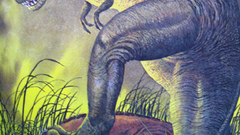 Dinosaurs tyrannosaurus Rex