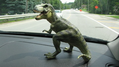 Dinosaurs tyrannosaurus Rex