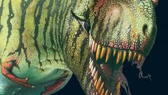 Dinosaurs tyrannosaurus Rex