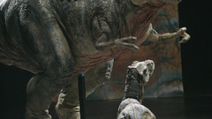 Dinosaurs tyrannosaurus Rex