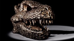 Dinosaurs Tyrannosaurus Rex