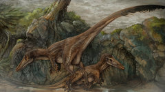 Dinosaurs Velociraptor artwork