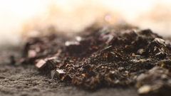 Dirt pyrite