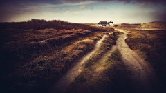 Dirt road photo filters Vignette