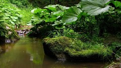 Dirty Landscapes nature water