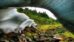 Dirty nature Trees snow hills rocks
