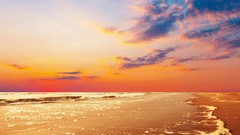 Dirty sand Sea water foam orange evening horizon