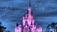 Disney Company Castles magical