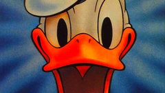 Disney Company Donald Duck