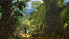 Disney Company tangled