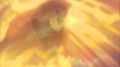 Disney Company The Lion