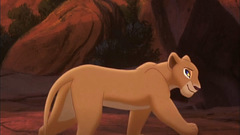 Disney Company The Lion