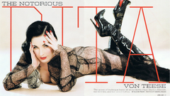 Dita Von Teese models