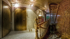 Ditze high stared on