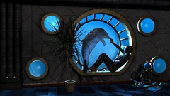 Diver Dolphins underwater