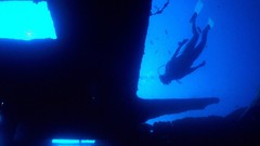 Diver virgin islands