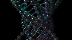 DNA spiral