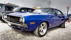 Dodge dodge challenger