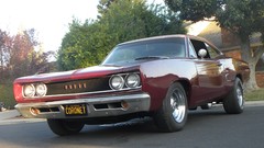 Dodge The most high probably Resolution pleasing aesthetically