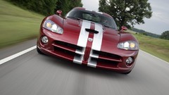Dodge viper