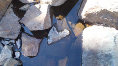 Does anyone have that