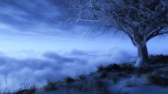 Does anyone have The