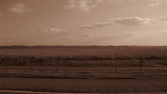 Does This Count high