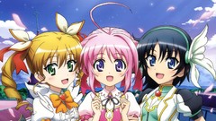 Dog days Firianno Biscotti Millhiore