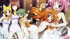 Dog days Martinozzi Eclair