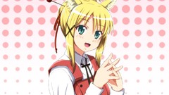 Dog days Panettone Yukikaze