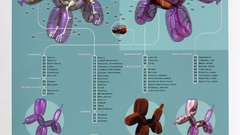 Dog here You fun ) With anatomy have