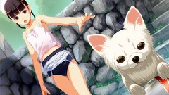 Dogs Anime anime girls brown eyes brunettes braids