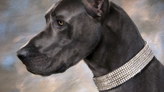 Dogs artwork Jewelry great