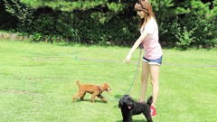 Dogs asians lee soon kyu Korean k-pop Girls Generation SNSD