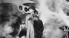 Dogs Audrey Hepburn fur coat