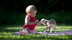 Dogs baby