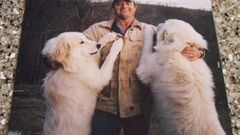 Dogs best 2008 Goats