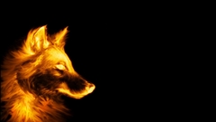 Dogs black background