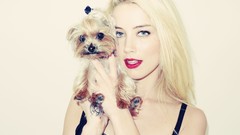 Dogs blondes amber heard