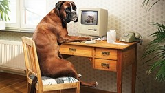 Dogs Computers funny macintosh